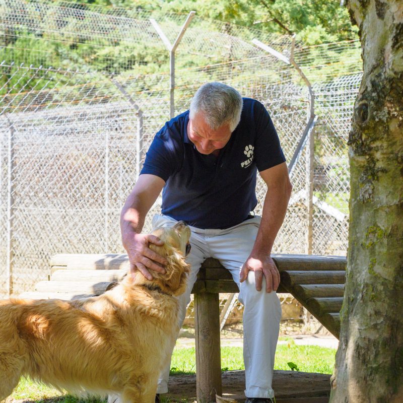 295 -CAMA7094-Pelynt Boarding Kennels & Cattery-Nick Pearce-June 22, 2022